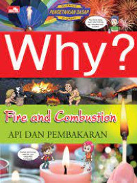 Image of Why? fire and combustion=api dan pembakaran